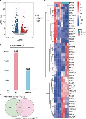 Dysregulation of ferroptosis-related genes in granulosa cells associates with impaired oocyte quality in polycystic ovary syndrome